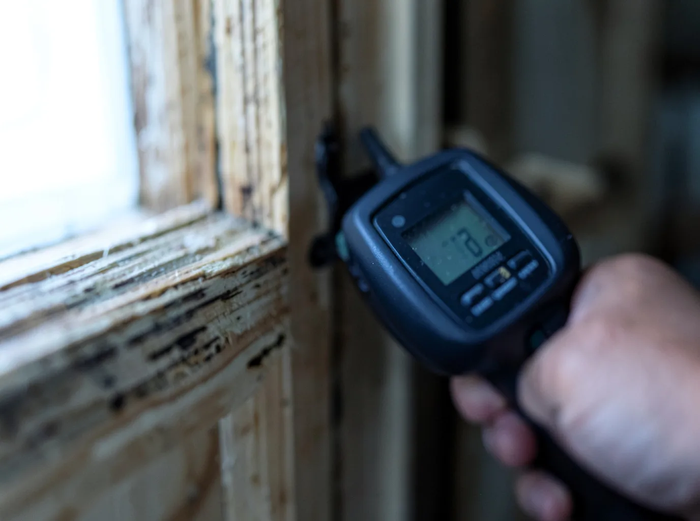 Moisture Inspection And Documentation in Mesilla, NM
